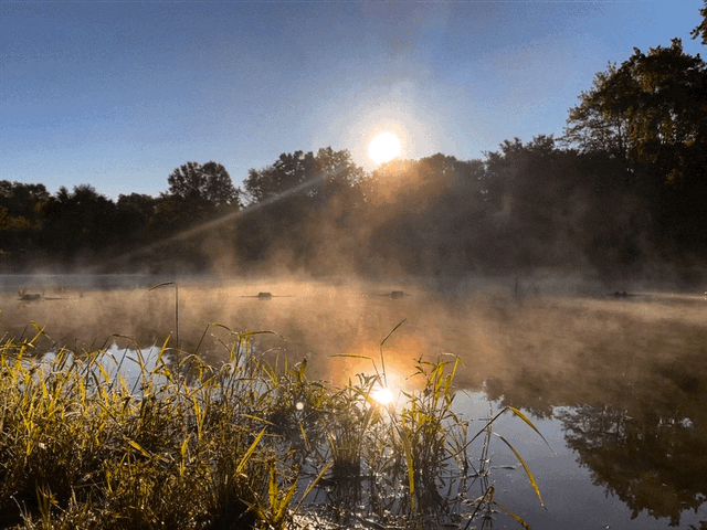 The Lake is Calling Steam Coming Off of Pond at Sunset