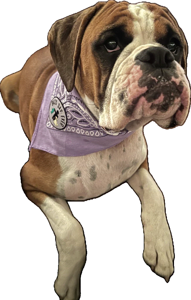 Dog-Bandana- Bass Day Ever Dog Bandana
